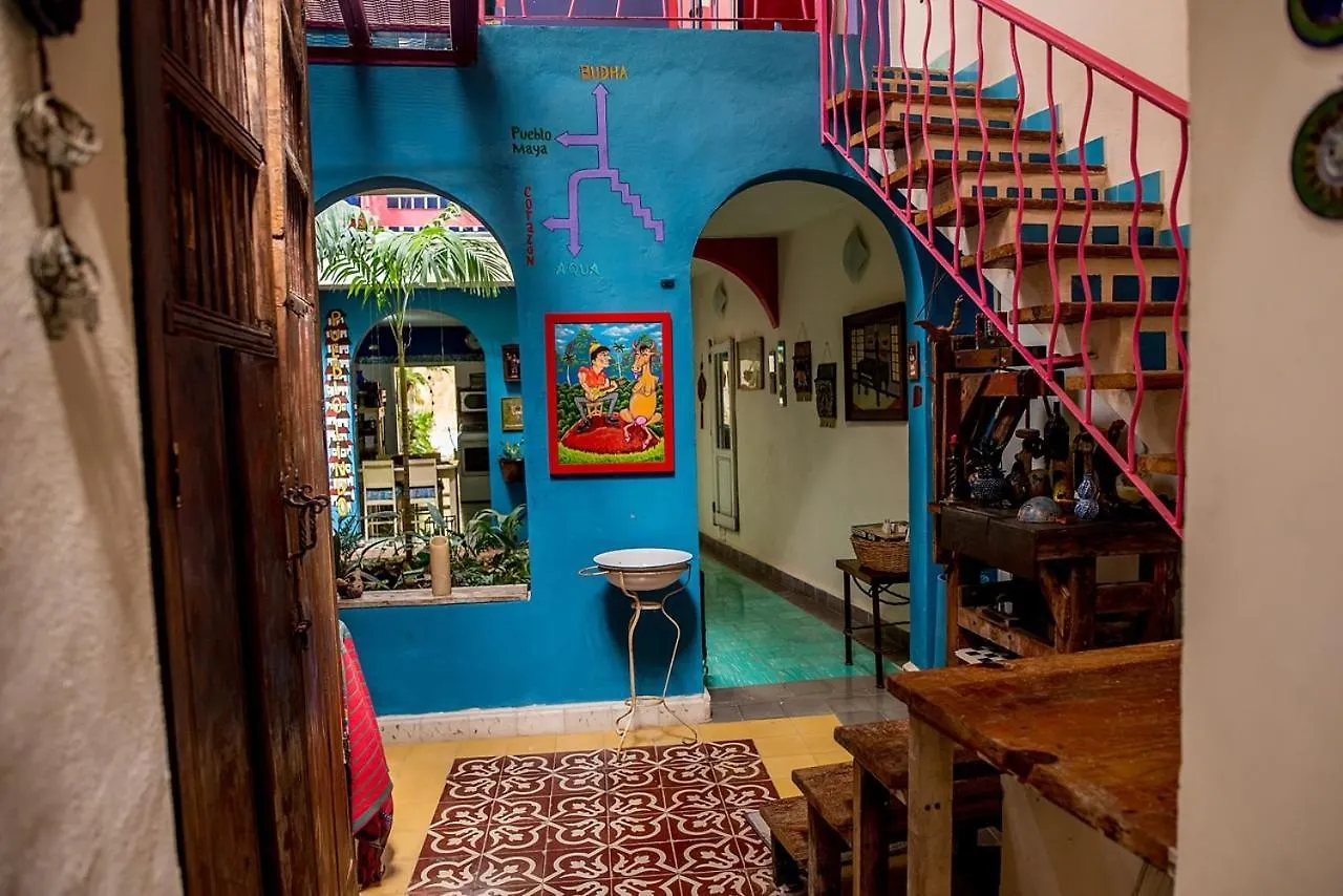 Casa De Los Xolos - Majikal B&B 메리다 0*,  멕시코