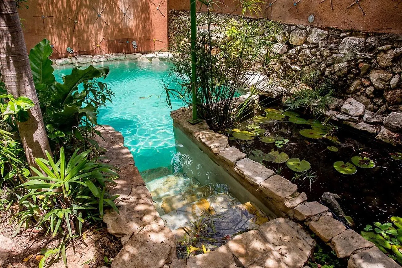 Casa De Los Xolos - Majikal B&B Mérida