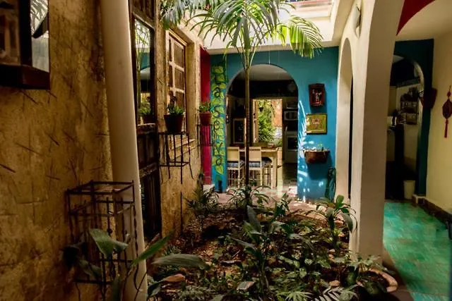 Casa De Los Xolos - Majikal B&B Mérida