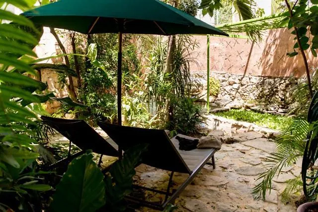 Casa De Los Xolos - Majikal B&B Mérida 0*,