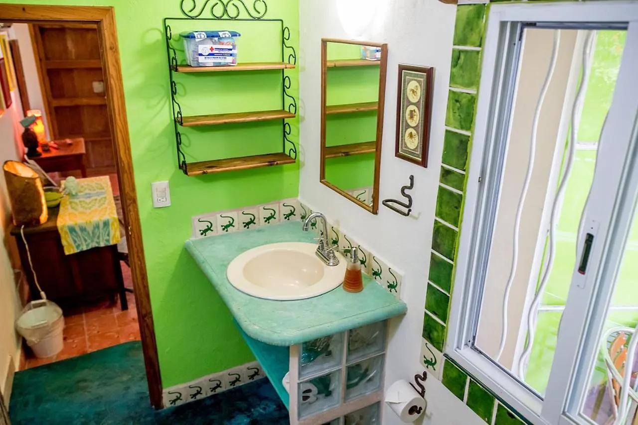 Casa De Los Xolos - Majikal B&B Mérida 0*,  Mexikó