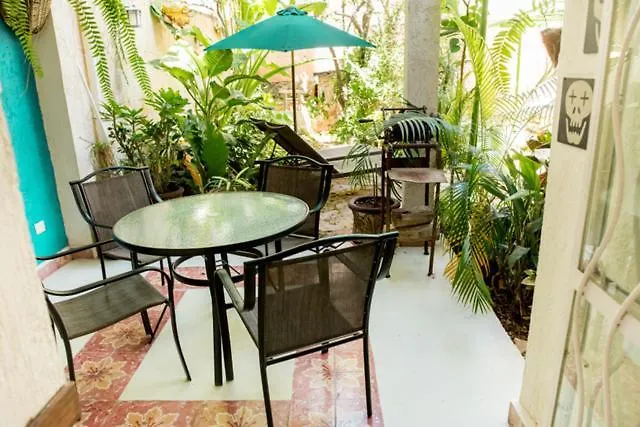 Casa De Los Xolos - Majikal B&B Mérida