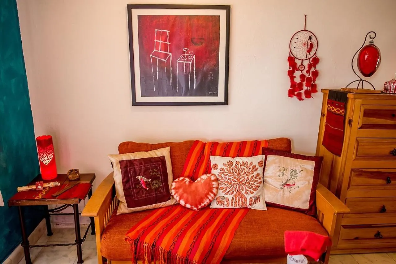Casa De Los Xolos - Majikal B&B Mérida Mexikó