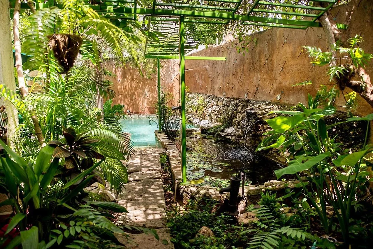 Nyaraló Casa De Los Xolos - Majikal B&B Mérida Mexikó