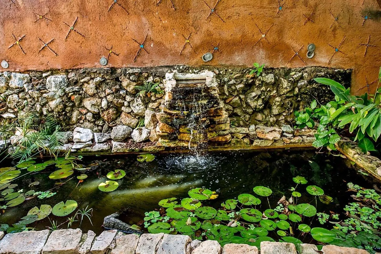 Casa De Los Xolos - Majikal B&B Mérida 0*,