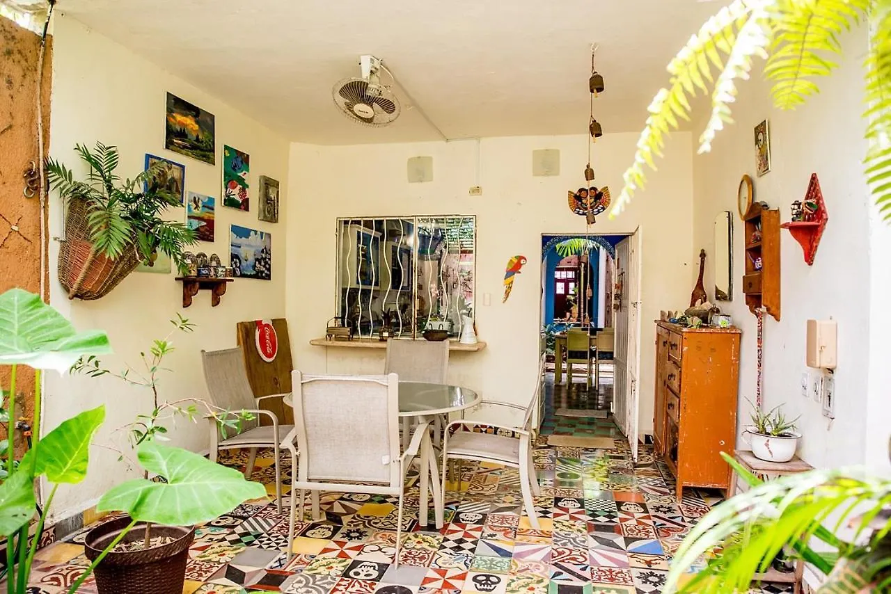 Casa De Los Xolos - Majikal B&B Mérida